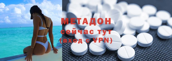 прущие грибы Гусиноозёрск