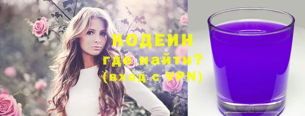 прущие грибы Гусиноозёрск