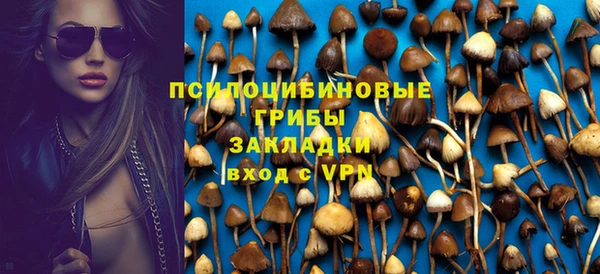 стаф Туринск
