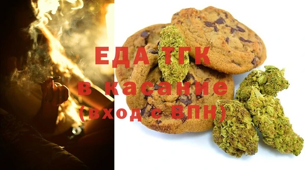 прущие грибы Гусиноозёрск