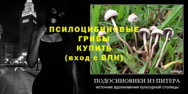 ешки Тутаев