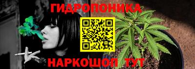 метадон Гусев