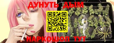метадон Гусев