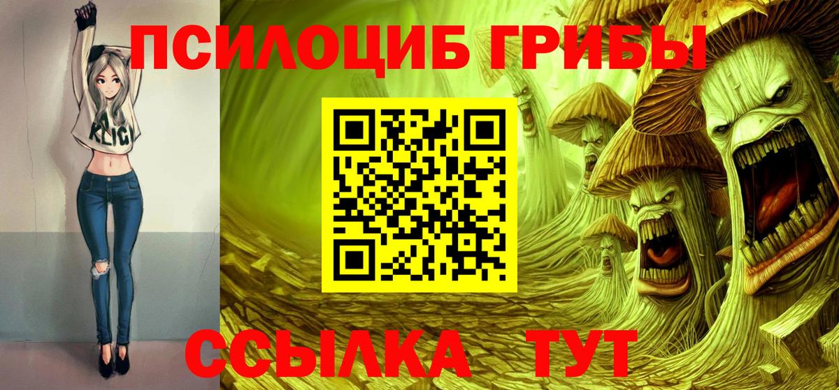 Псилоцибиновые грибы мицелий Острогожск