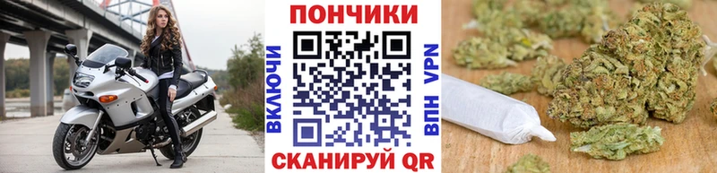Бошки Шишки конопля  Острогожск 