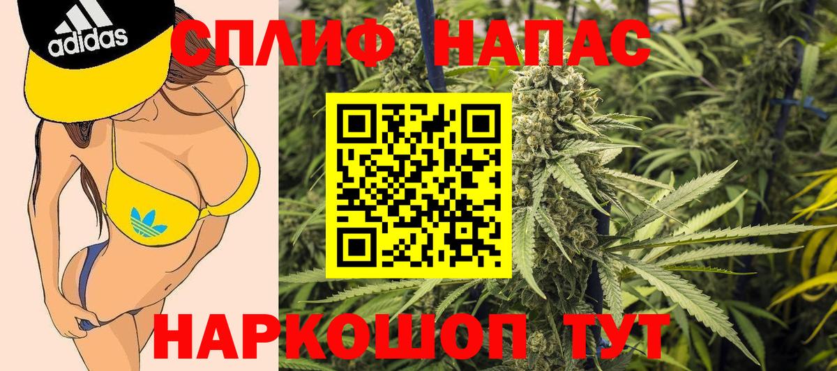 Шишки марихуана конопля  Острогожск  Марихуана конопля  Бошки Шишки Ganja  Шишки марихуана марихуана 